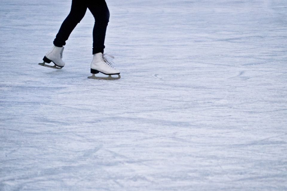 Skaters campaign for same-sex pairs